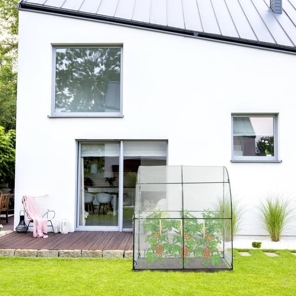 Drivhus for tomat i plast