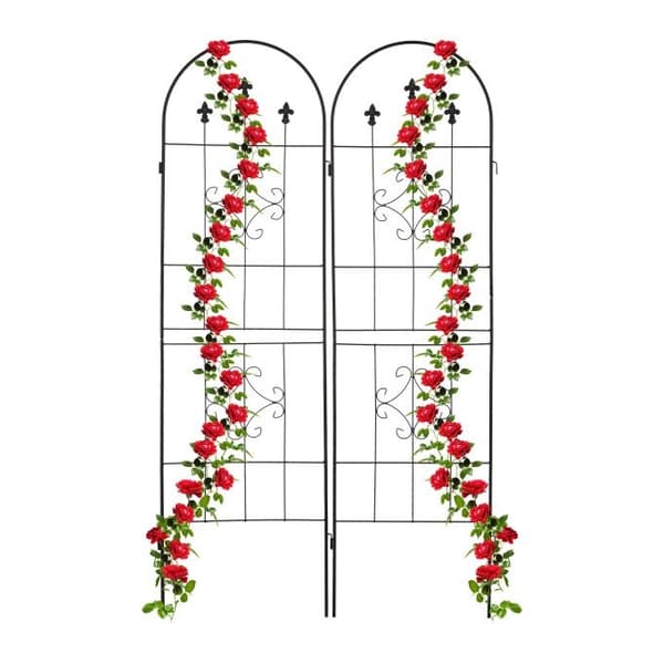 Trellis 180 cm sett med 2 sorte