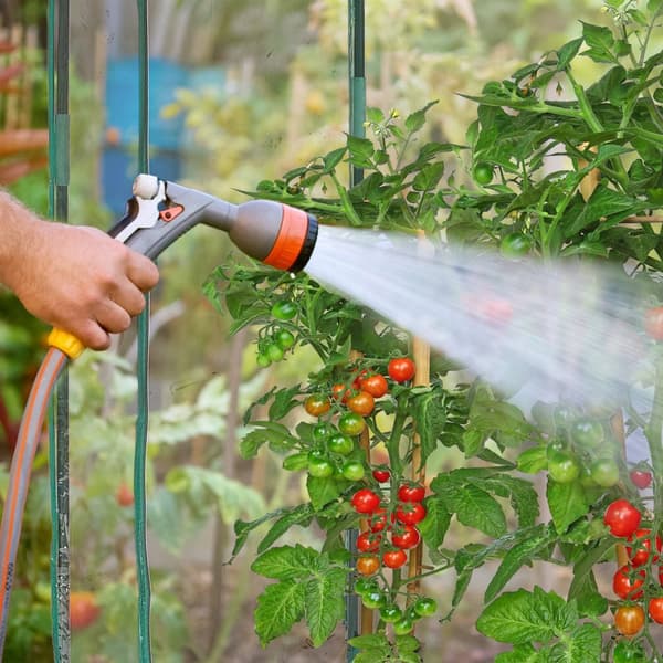 Tomatväxthus av PVC-plast