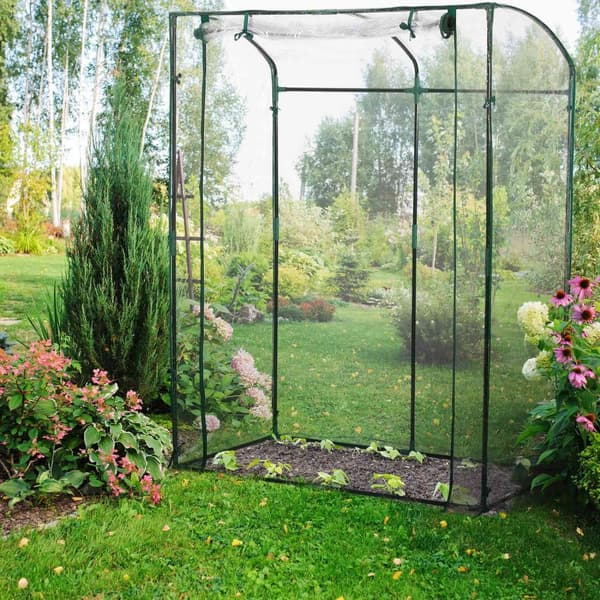 Tomatväxthus av PVC-plast
