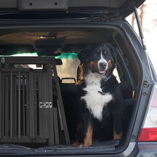 Hundbox Bil med skiljevägg
