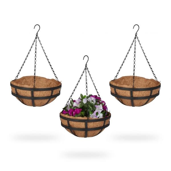 Grapevine sett med 3 med kokosnøttinnlegg