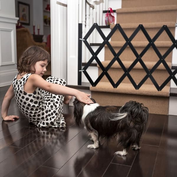 Uttrekkbart hundegitter Sort