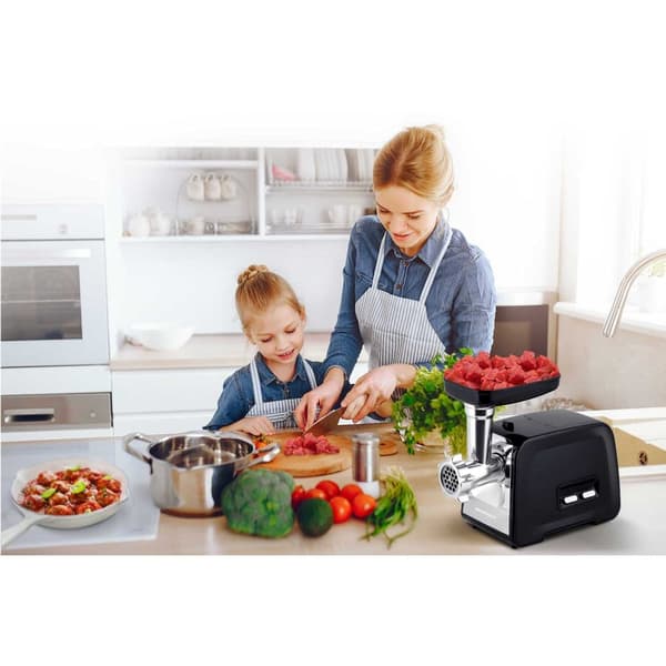 Lihamylly BD-601A Berdsen 450/1200W