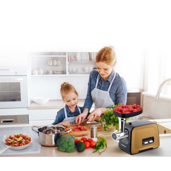 Kjøttkvern BD-601B Berdsen 450/1200W