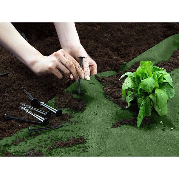 Trädgårdsagrotextil 1,6 m x 50 m 70 g/m2 + 100 Plonos stift - grön