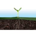 Miniatyrbilde 8 av 9: Hageagrotekstil 1,6 m x 50 m 90 g/m2 + 100 Plonos-stifter - grønn