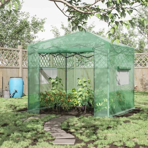 Drivhus drivhus tomathus med dør og vindu for opprulling, PE stål mørkegrønn 238 x 178 x 240 cm for optimal plantedyrking