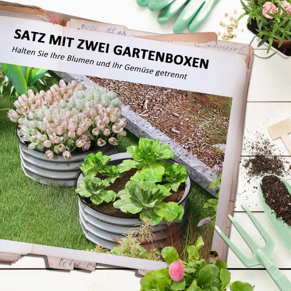 Metall Høybed Sett med 2 Blomsterboks Urtebed Planteboks med åpen bunn Vegetabilsk seng for hage Sølv 60 x 60 x 30 cm