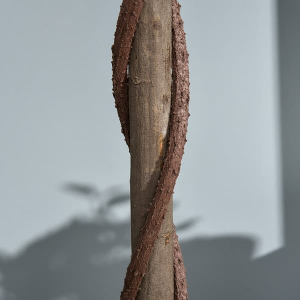 Set med 2 konstgjorda bukträd, 120 cm konstgjorda växter i cementkruka, krukväxt, konstgjorda växter för inomhus, utomhus, dekorativa växter, grön