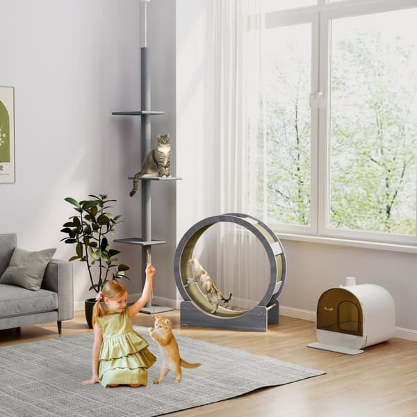 Cat Balance Cykel för katter 91 cm med broms, skrapbräda, katthjul för hälsosam träning, avkoppling, grå