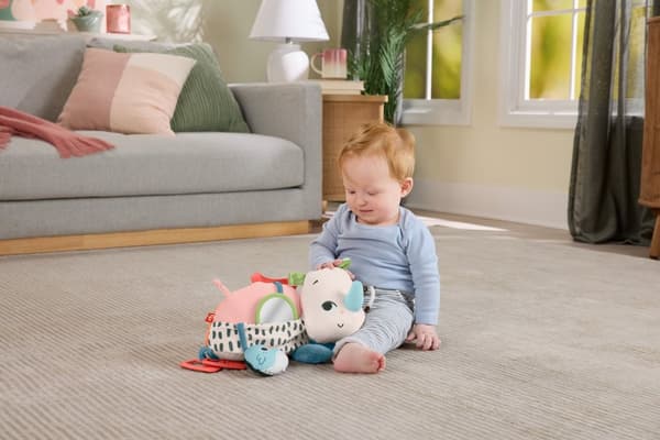 Fisher-Price Tummy Time Roaming Rhino