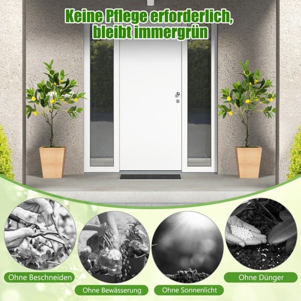 80 cm kunstig sitrontre Lime med potte og 9 kunstige sitronplanter med frukt