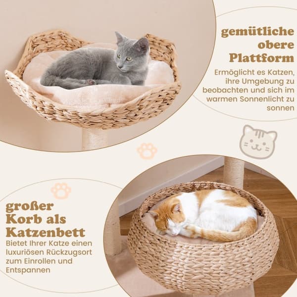 146 cm skrapstolpe med kattgrotta & abborre & cattail kattkorg kattträd