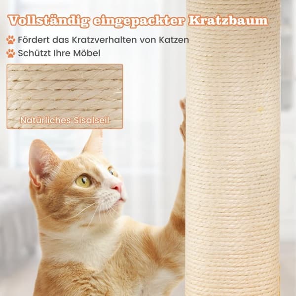 Kattskrapstolpe med helikopterplattform & skrapstolpe & hoppplattformskrapstolpe