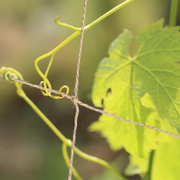 Trellisnett jute