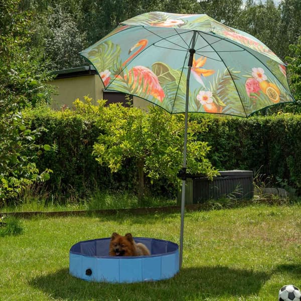 Blå hundepool