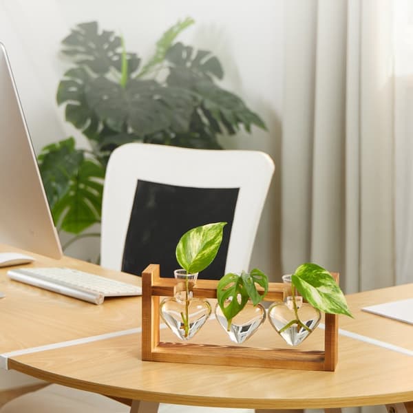 Reagensglassvase med stativ