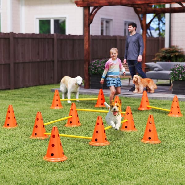 Agility-sett Hunder 6-delers Agility-utstyr for hundetrening Hekkesett med 12 kjegler 6 høydejusterbare hekker Bæreveske Treningstilbehør Koordinasjon