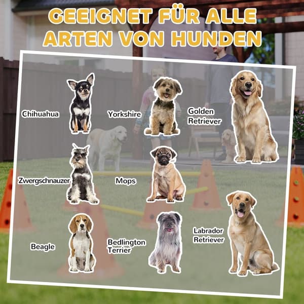 Agility-sett Hunder 6-delers Agility-utstyr for hundetrening Hekkesett med 12 kjegler 6 høydejusterbare hekker Bæreveske Treningstilbehør Koordinasjon