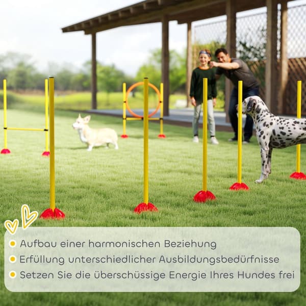 Dog Agility Set, 4-delt utfyllbart agility utstyr for hundetrening, hekkesett med slalåmstaver, høydejusterbart, hekk, hoppring, koordinasjonstrening