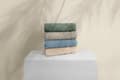 Miniatyrbild 1 av 6: Ansiktshandduksset (4 delar) 1014A-047-1