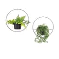 Miniatyrbild 3 av 3: Jardiniere SEH - 4560