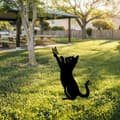 Miniatyrbild 3 av 6: Dekorativt objekt Katt 01