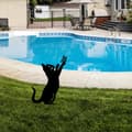 Miniatyrbild 1 av 6: Dekorativt objekt Katt 01