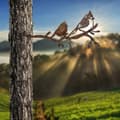 Miniatyrbild 3 av 6: Dekorativt objektfågel på grenen 07 - brun