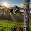 Miniatyrbild 3 av 6: Dekorativ objektfågel på grenen 02 - svart