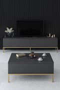 Miniatyrbillede 4 af 6: TV Stand Lord - antracit, guld