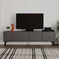 Miniatyrbillede 1 af 6: TV Stand Dune - antracit