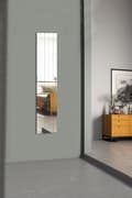 Miniatyrbild 1 av 7: Spegel rektangulär rand - 5 x 100 cm ( 5 stycken ) - Silver