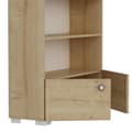 Miniatyrbilde 5 av 6: Bokhylle Penguen - Sapphire Oak