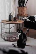Miniatyrbillede 5 af 9: Sofabord Kat