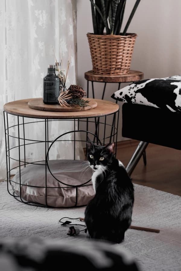 Sofabord Kat