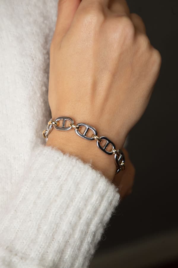Metalliranneke ECBL9052