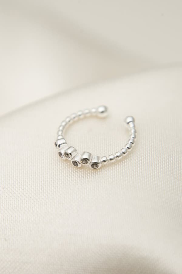 Sølvbruskørering FA182651
