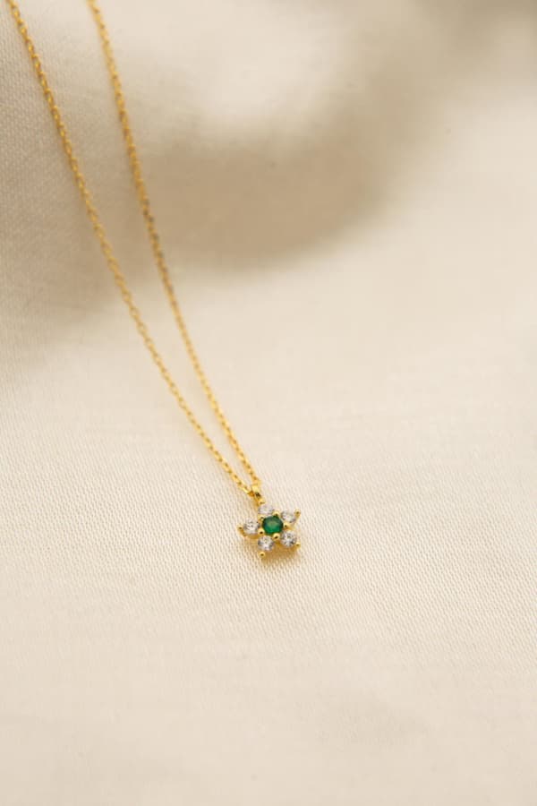 Silverhalsband PP4019