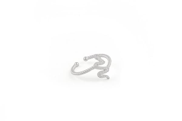 Silverring FA182284