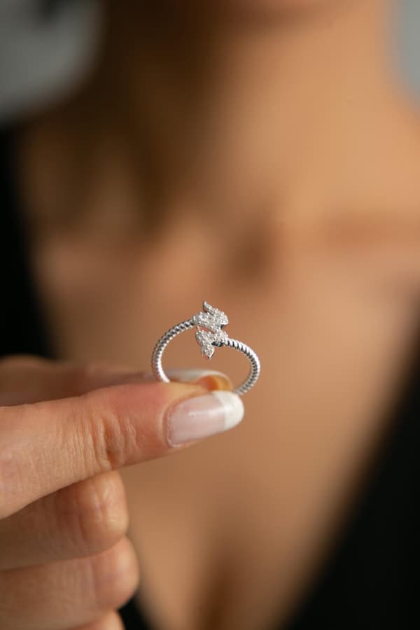 Silverring FA182284