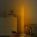 Miniatyrbillede 1 af 9: Kun gulvlampe - 13318