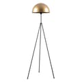 Miniatyrbild 2 av 7: Golvlampa Can - NT - 113