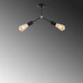 Miniatyrbilde 5 av 6: Lysekrone Sparrow - 1252