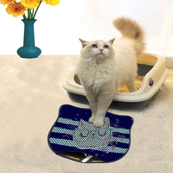 Kattebakkemåtte Kdkafa0001