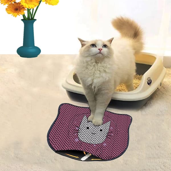 Kattebakkemåtte Kdkafa0030