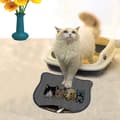 Miniatyrbillede 1 af 2: Kattebakkemåtte Kdkafa0022