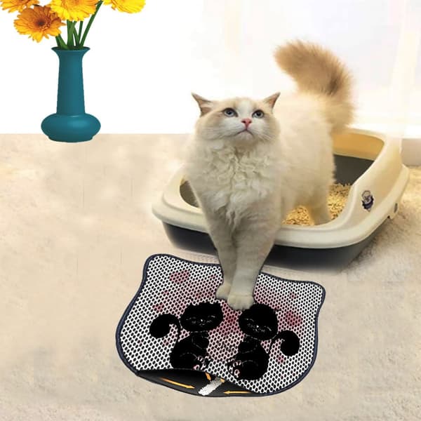Kattebakkemåtte Kdkafa0004