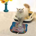 Miniatyrbild 1 av 2: Kattsand Mat Kdkafa0054